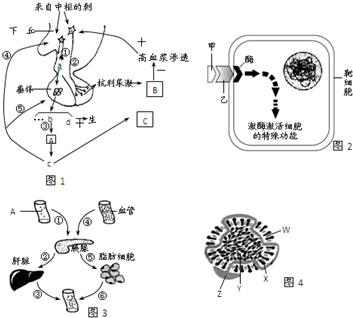 据图分析回答有关人体内环境与自稳态问题:Ⅰ