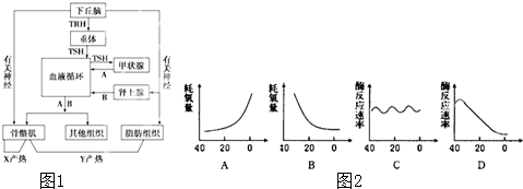 中A和B激素在血液中的含量_,作用于骨骼肌和
