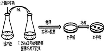 金黄色葡萄球菌是一种具有高度耐盐性的微生物