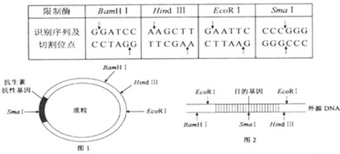 是一种可再生的清洁能源,其应用在一定程度上