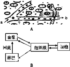 生理学家将人体的肝脏形容为一个巨大的生化工