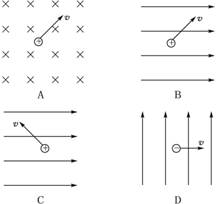 别对如图四种情况中各粒子受洛伦兹力的方向的