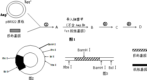 基因工程操作步骤中,需要从受体细胞群中筛选