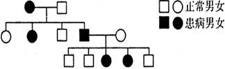 a  常染色体显性遗传 b  常染色体隐性遗传 c  x染色体显性遗传 d  x