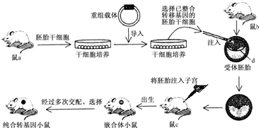 关于管理在医学动物实验实施中的意义的毕业论文格式模板范文