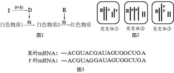 某二倍体植物的花色受独立遗传且完全显性的三