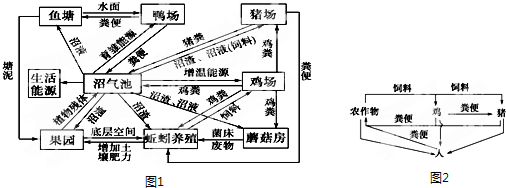如图1是我国南京古泉生态农场的以沼气为纽带