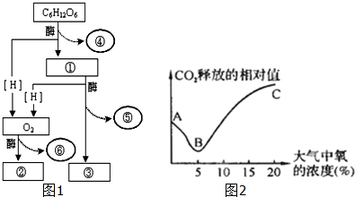 如图1是高等生物细胞有氧呼吸过程的图解,图2