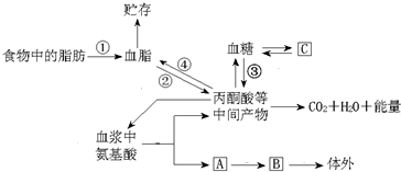 图中糖类、脂类、蛋白质之间转化的枢纽是_(物