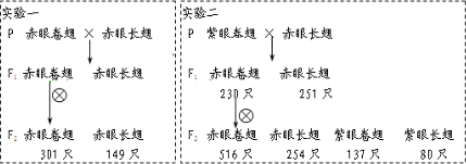 个体中,雌雄比例接近1:1,说明控制翅形的基因位