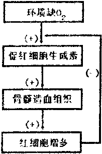 且终身禁赛,2013年1月17日(美国当地时间)阿姆