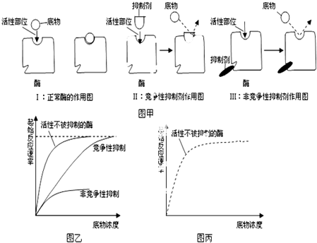 在生物化学反应中,当底物与酶的活性位点形成