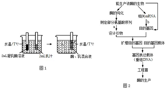 如图1是某同学研究温度对凝乳酶催化乳汁凝固
