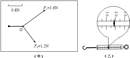 点O后,作出了这两个拉力F1、F2的图示,如图甲