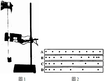 某实验小组通过自由落体运动验证机械能守恒定