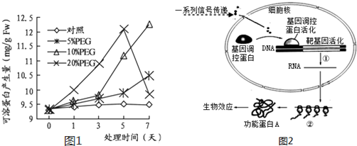 物,为了研究干旱对金银花干旱诱导蛋白基因表