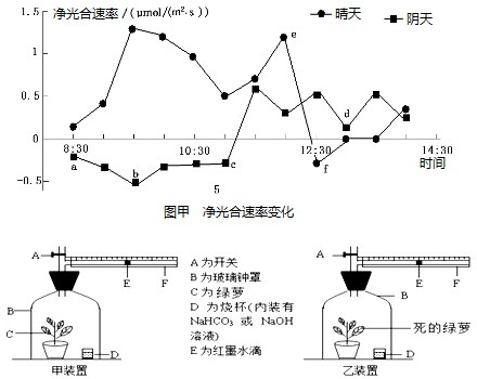 内有机物总量的变化情况是_,净光合速率由e点