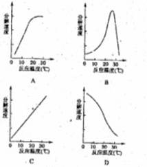 胰蛋白酶作用于一定量的某种物质(底物),温度保