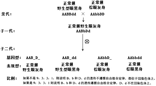 给的条件回答下列问题:(1)果蝇的X和Y染色体有