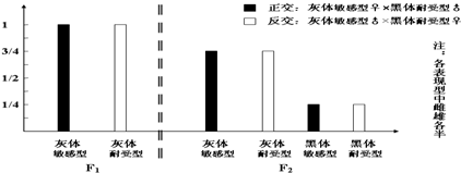 回答:①实验中控制果蝇体色基因位于_染色体上