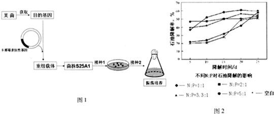 石油污染会造成采些生物的大量死亡或大量增加