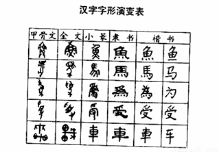 历史,探究字形变化"的研究性学习成果,请给下面的《汉字字形演变表》