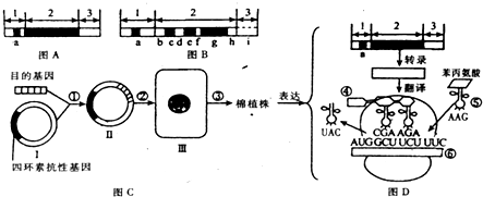 底,中国科学家成功研制了具有自主知识产权的