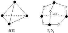 "习题详情  4o 6的分子结构如图所示,现提供以下化学键的键能(kj·mol
