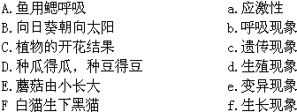 更无柳絮因风起,惟有葵花向日倾。该诗句描述