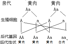 阅读资料,回答问题:据报道,我围科学家已经开发