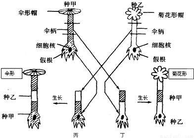 关于“探究废电池对生物的影响”教学案例的硕士毕业论文范文