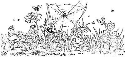 碌地往洞穴中搬运草籽,而蜘蛛却张开了大网,等