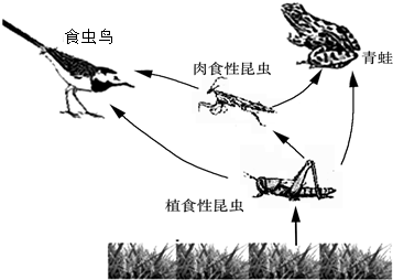 农作物秸秆在生产实践中具有多种用途.在特定