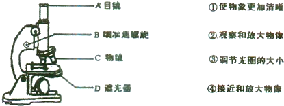 用下列四台显微镜观察洋葱表皮细胞, 显微镜序