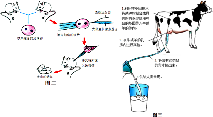 人类对生物技术的使用历史悠久,生物技术对人