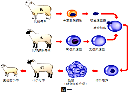 人类对生物技术的使用历史悠久,生物技术对人