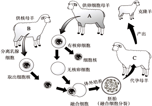 人们很早以前就观察到生物亲子代之间存在着遗传现象,但却长期被"究竟