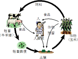 农业中,无机盐可以在生态系统反复循环.植物生