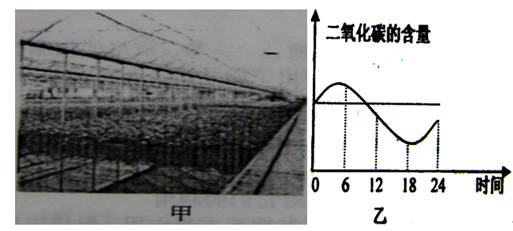 下图表示温棚内光照强度(X)与农作物净光合作