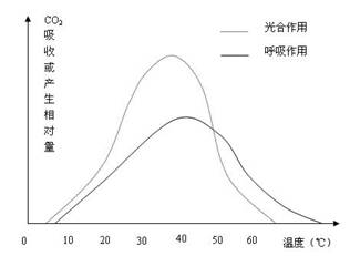 雨生红球藻是一种单细胞绿藻,是天然虾青素含