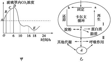 中学生物兴趣小组同学探究了不同CO2浓度对