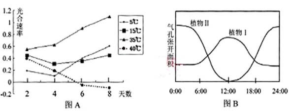 15℃、35℃、40℃的人工气候箱中培养,每隔两