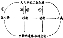 的结构或物质,请回答(方括号中填字母或序号):