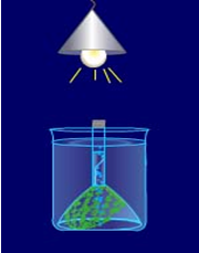 给定实验仪器:1、盛有绿藻水的烧杯;2、漏斗;3