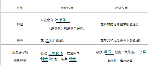 下表概括了绿色植物的光合作用和呼吸作用的区