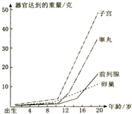 岁开始的一些生理特征(如下表). 年龄(岁) <em>女孩</em> 