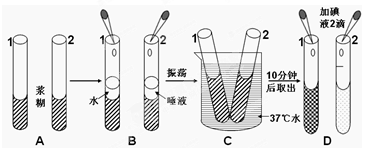 如图是馒头在口腔中的变化探究实验过程,请你