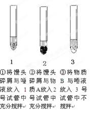 如图所示,分析实验(1)该实验是观察唾液淀粉酶
