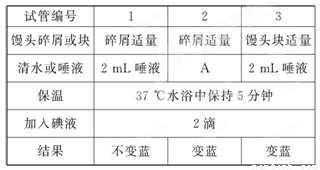 某生物兴趣小组设计了探究唾液淀粉酶性质的实