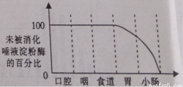 下图曲线表示唾液中的唾液淀粉酶经过消化道的